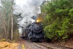 CNJ 113 working an uphill grade just south of Westwood Junction